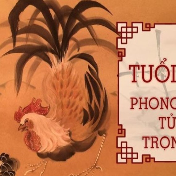 Tuổi dậu hợp màu gì? Chọn màu hợp thu hút tài lộc, may mắn