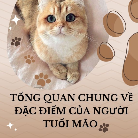 Tuổi mão hợp màu gì ?Tổng quan chung về đặc điểm của người tuổi Mão.