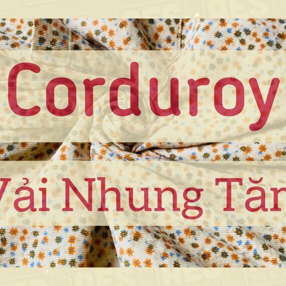 Vải nhung tăm là gì? Ưu điểm chất liệu vải phổ biến hiện nay
