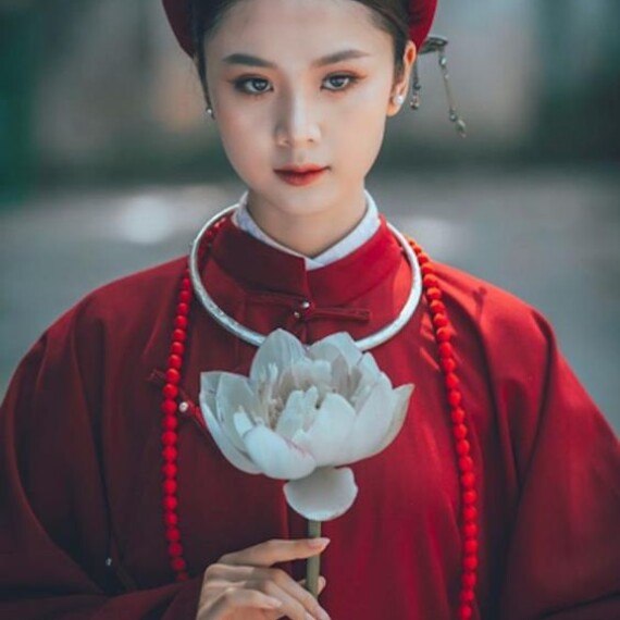Lịch sử phát triển của áo dài Việt Nam