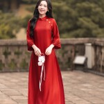 Áo dài AD266 - QD043 cách tân tay ngắn tà lỡ phối họa tiết đính cài