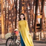 Áo dài cách tân 4 tà tay lỡ phối cổ 3 phân AD240