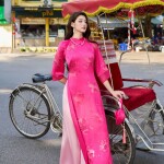 Áo dài cách tân cổ 3 phân tà ngắn AD194
