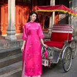 Áo dài cách tân cổ 3 phân tà ngắn AD194