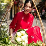 Áo dài cách tân tà ngắn phối họa tiết thêu AD121