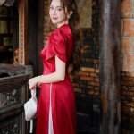 Áo dài cách tân tay cộc phối cổ 3 phân AD206 (LẺ ÁO)