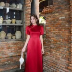 Áo dài cách tân tay cộc phối cổ 3 phân AD206 (LẺ ÁO)