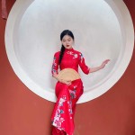 Áo dài truyền thống phối họa tiết in AD153 (LẺ ÁO)