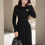 Đầm thun tay dài phối cài áo hồ điệp LD389