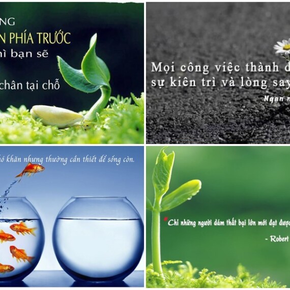 30+ câu nói hay về cuộc sống cho năng lượng tích cực