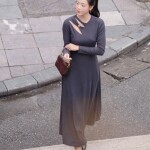 Đầm chữ A dáng xòe cổ lệch phối tay dài LD408