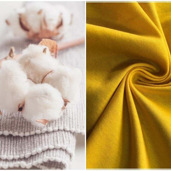 Vải cotton là gì? Ưu, nhược điểm và ứng dụng trong đời sống