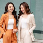 Vest công sở LE065 ( bán lẻ áo và quần)
